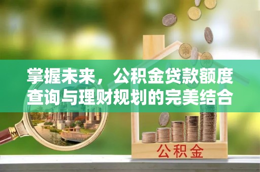 焦作掌握未来，公积金贷款额度查询与理财规划的完美结合