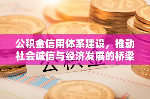 焦作公积金信用体系建设，推动社会诚信与经济发展的桥梁